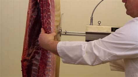 instrument used to measure fat thickness on beef carcass|INSTRUMENT APPROVAL PROCESS INSTRUMENT .